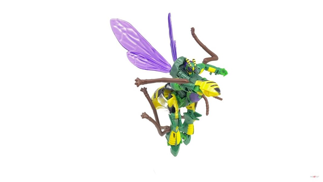 Transformers Kingdom Deluxe Class Waspinator  (15 of 28)